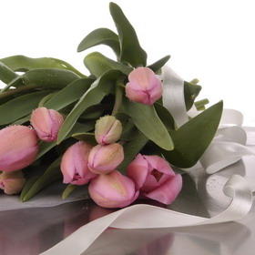 Tulips in a Special Wrap